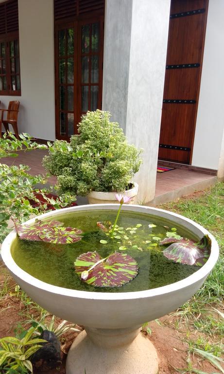 Summerland Residence Udawalawe Zewnętrze zdjęcie